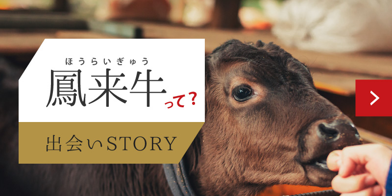 鳳来牛の出会いストーリー